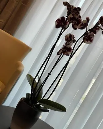 Aparthotel Perla Lux *